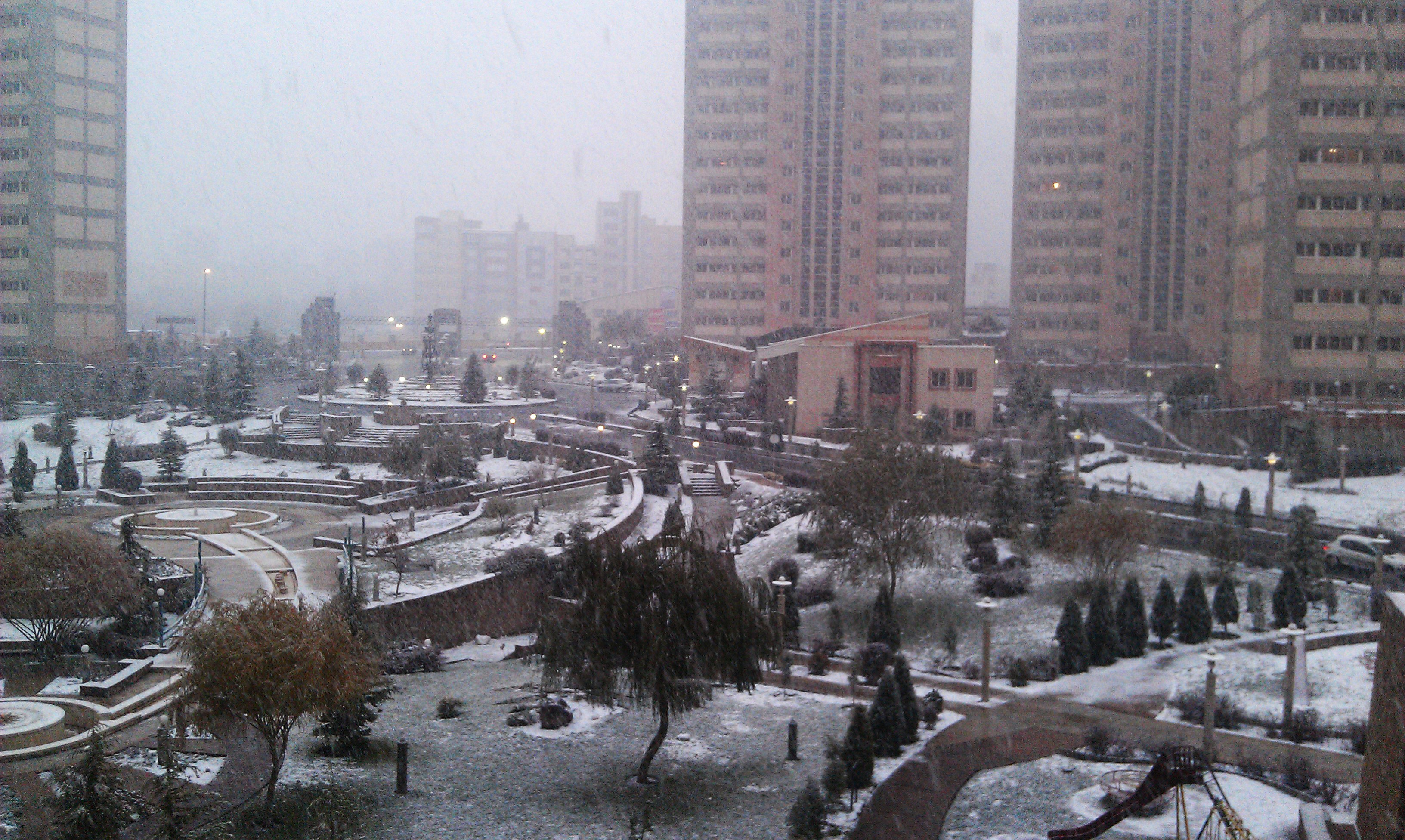 Free Unsplash photo from Sajedeh Yazdani