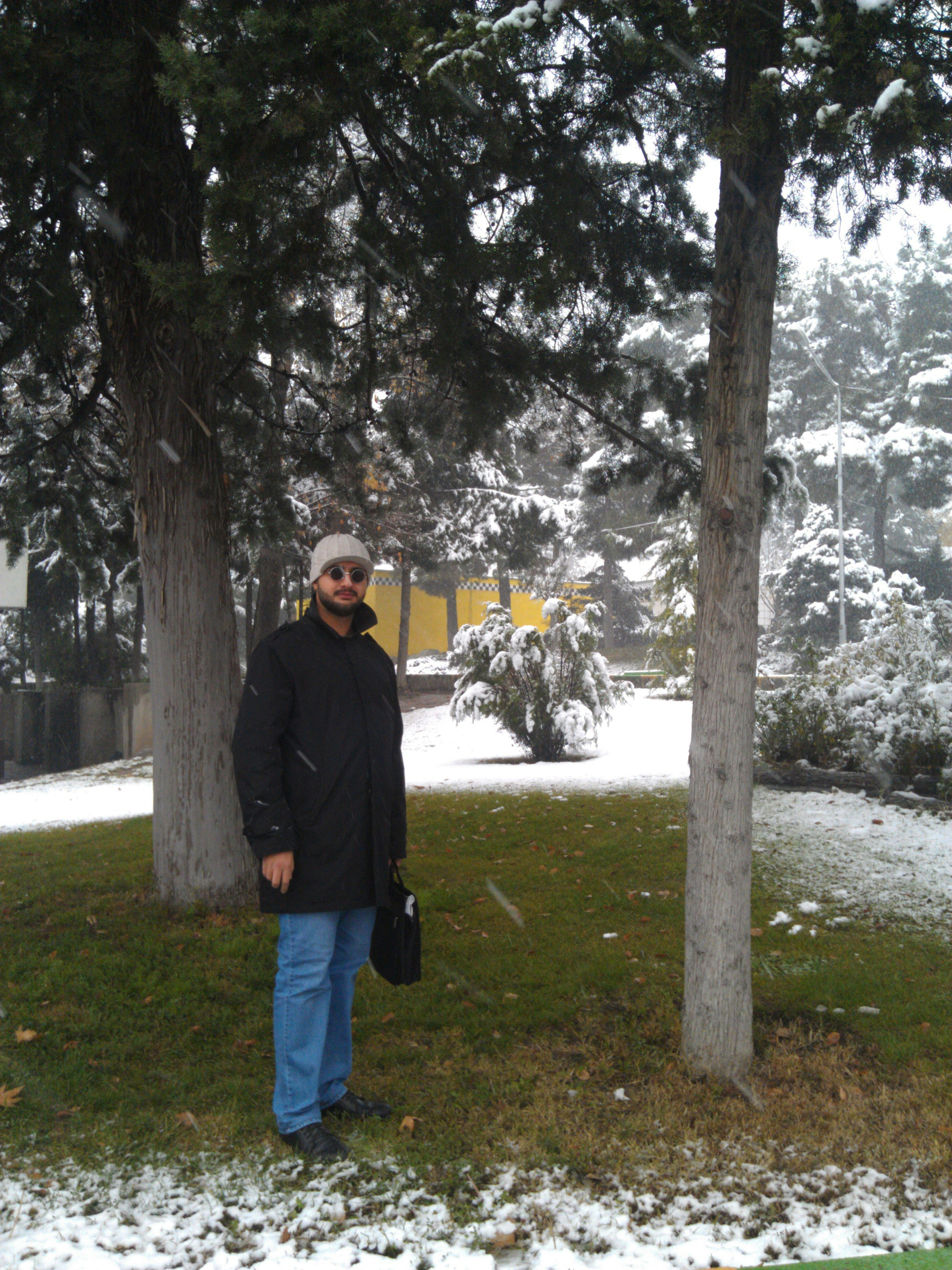 Free Unsplash photo from Sajedeh Yazdani