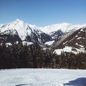 Alps Resorts