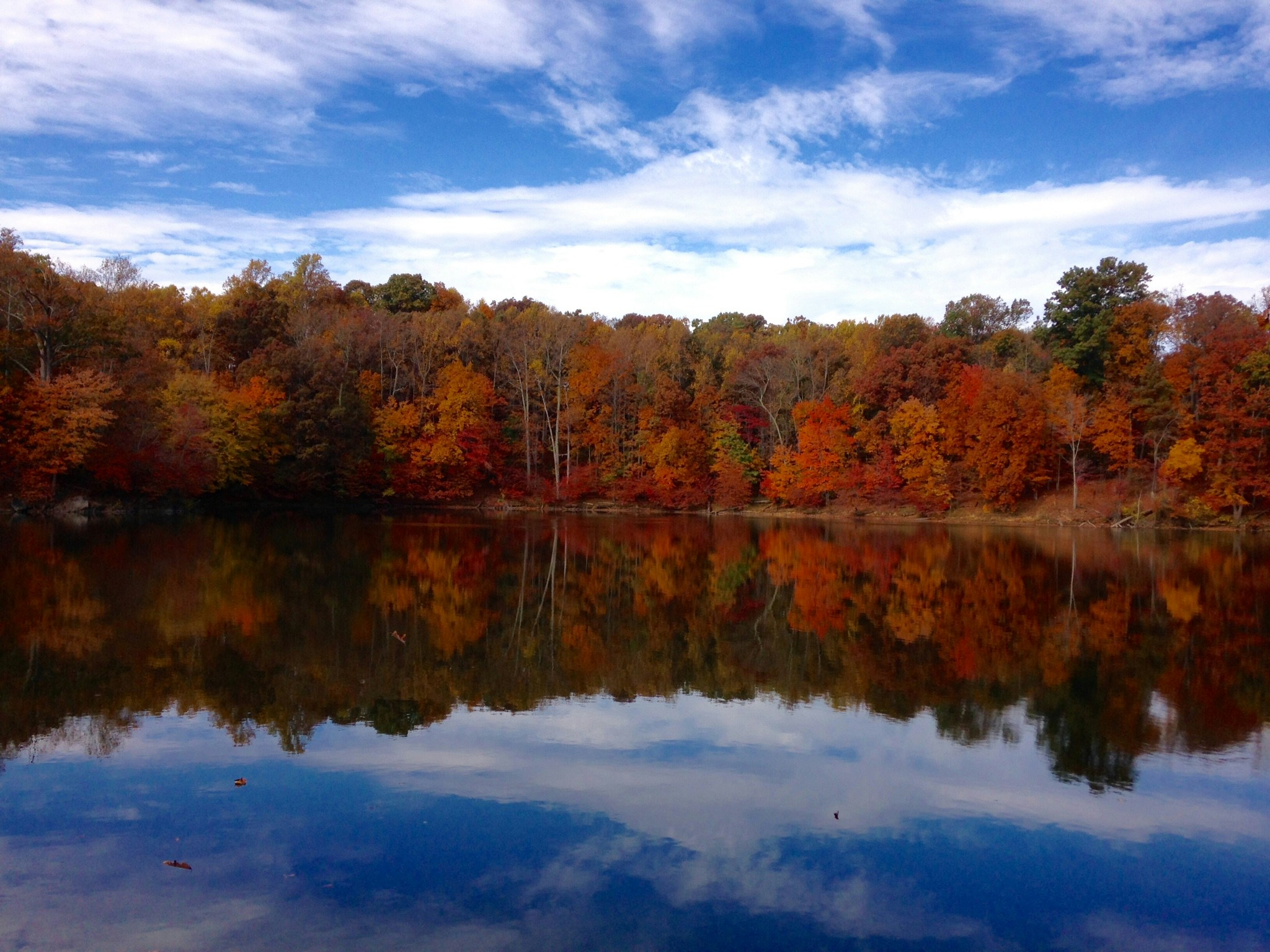 Free Unsplash photo from Kelly Stone