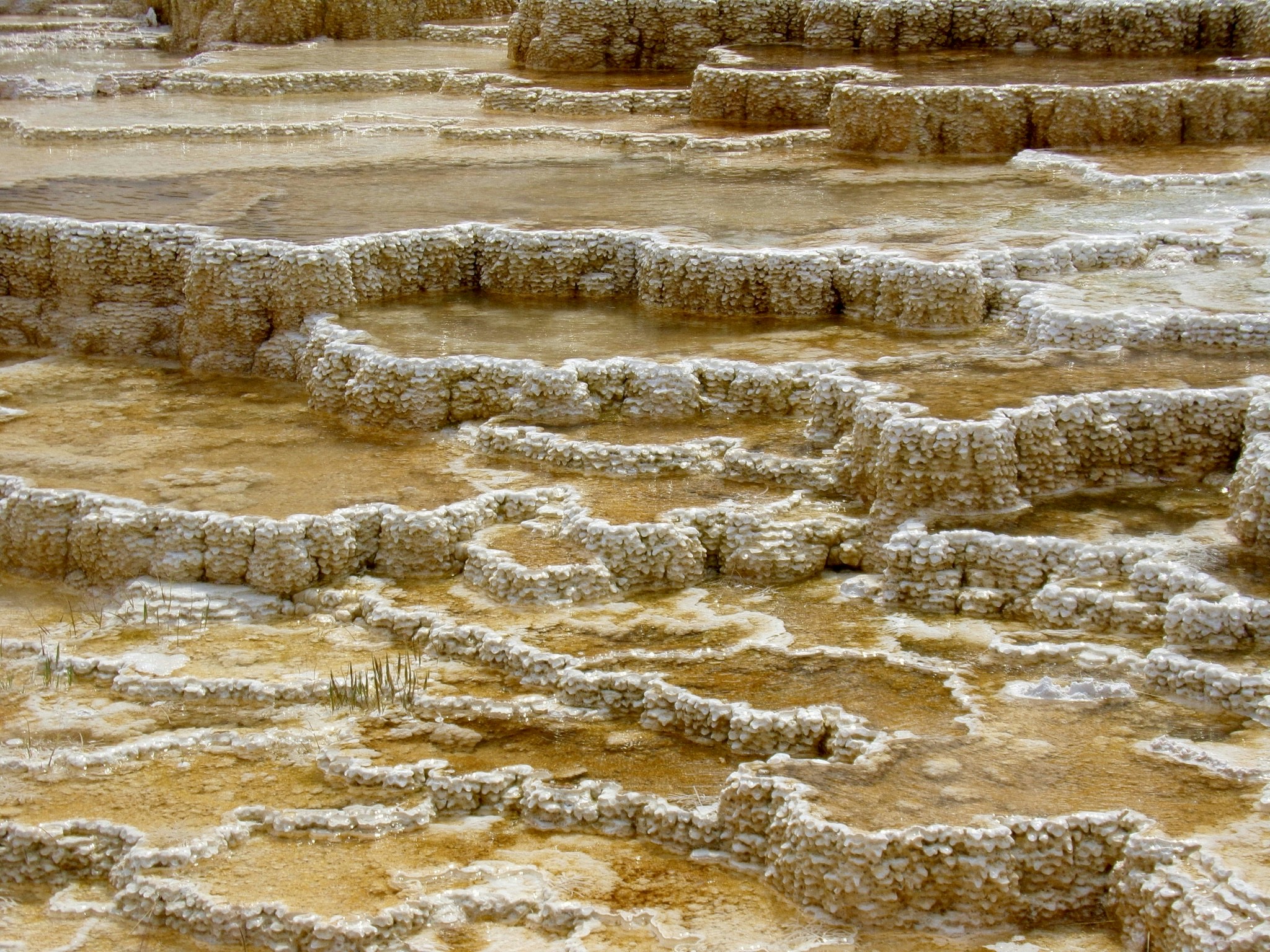 Free Unsplash photo from Kelly Stone