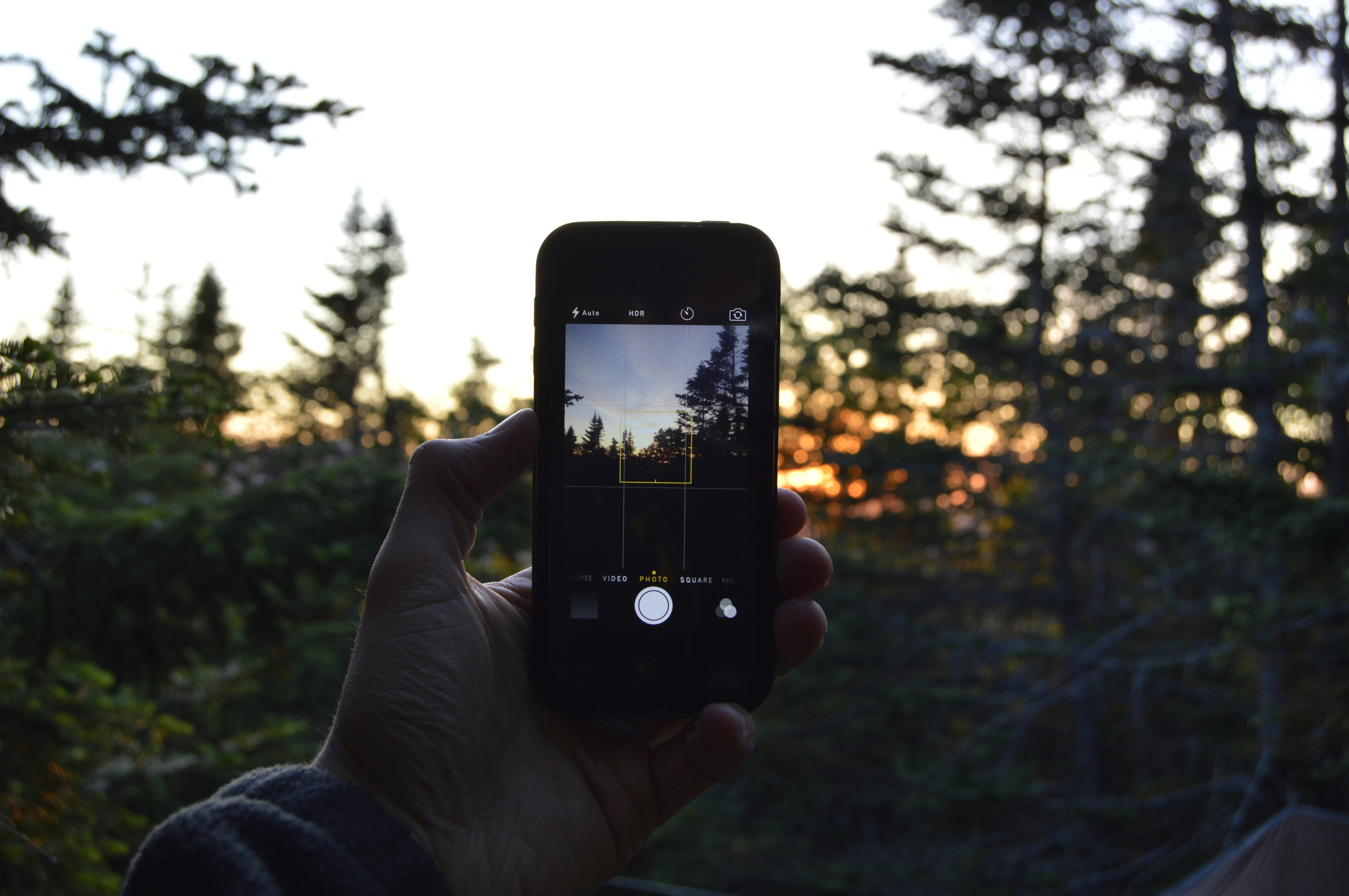 Free Unsplash photo from Jared Fong