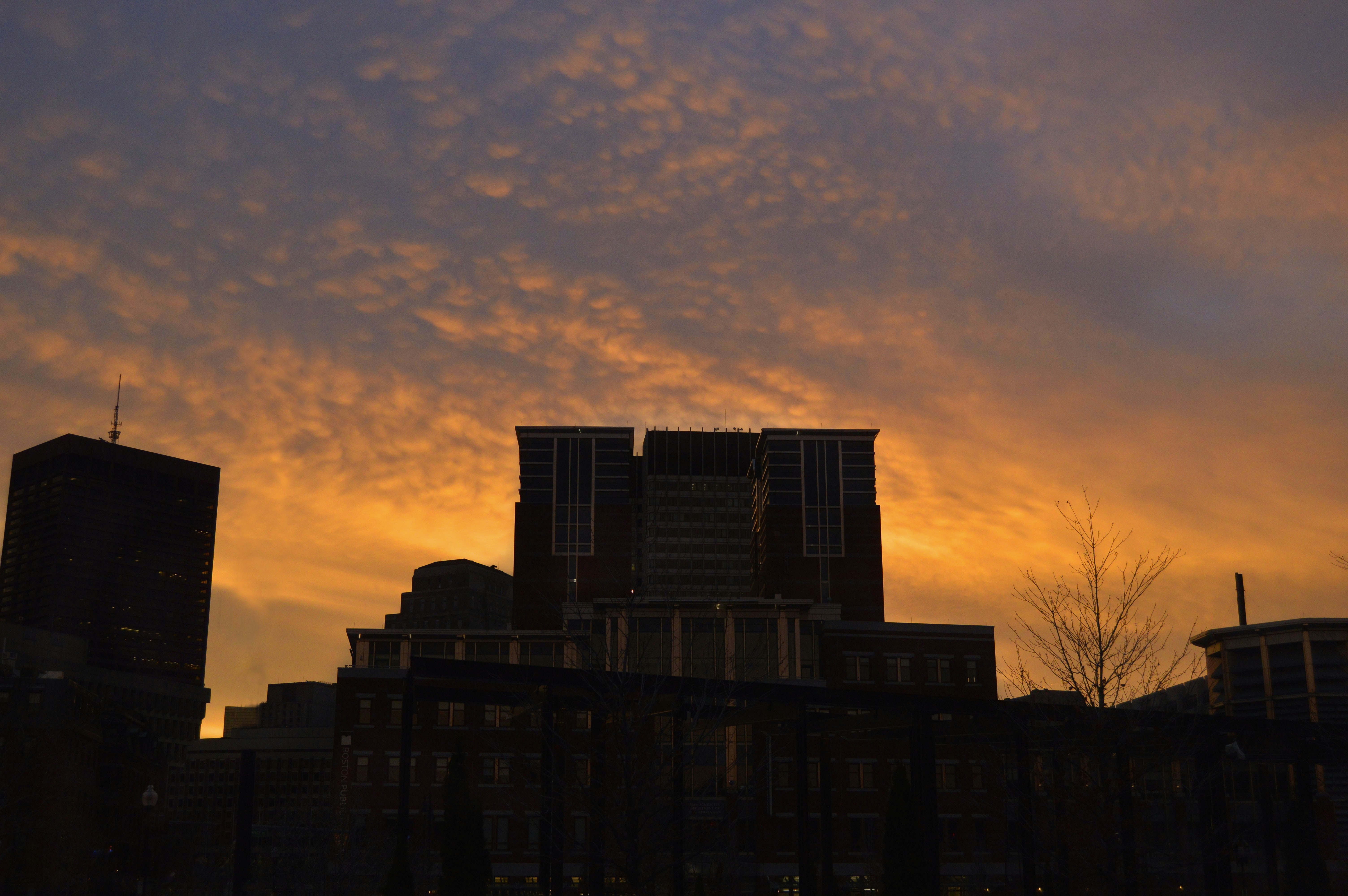 Free Unsplash photo from Jared Fong