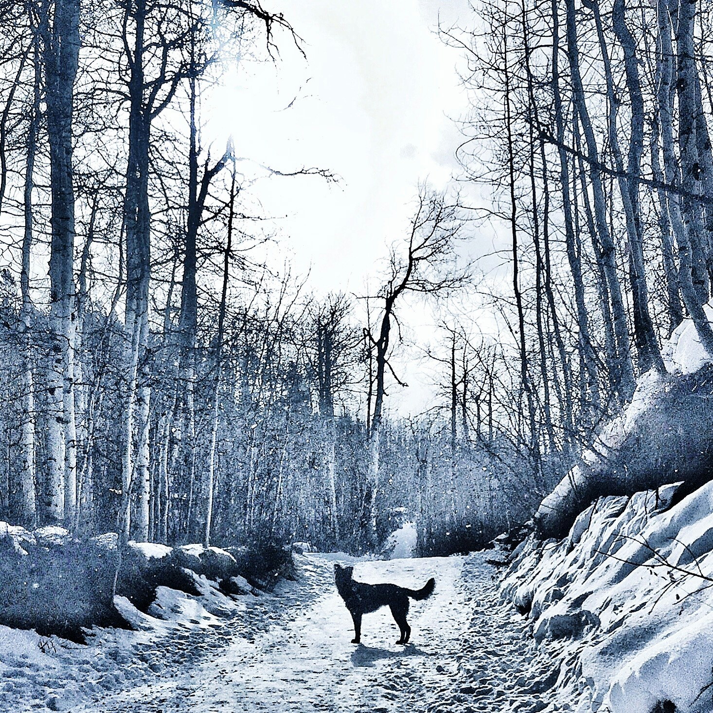 Free Unsplash photo from Kimberly Harmon