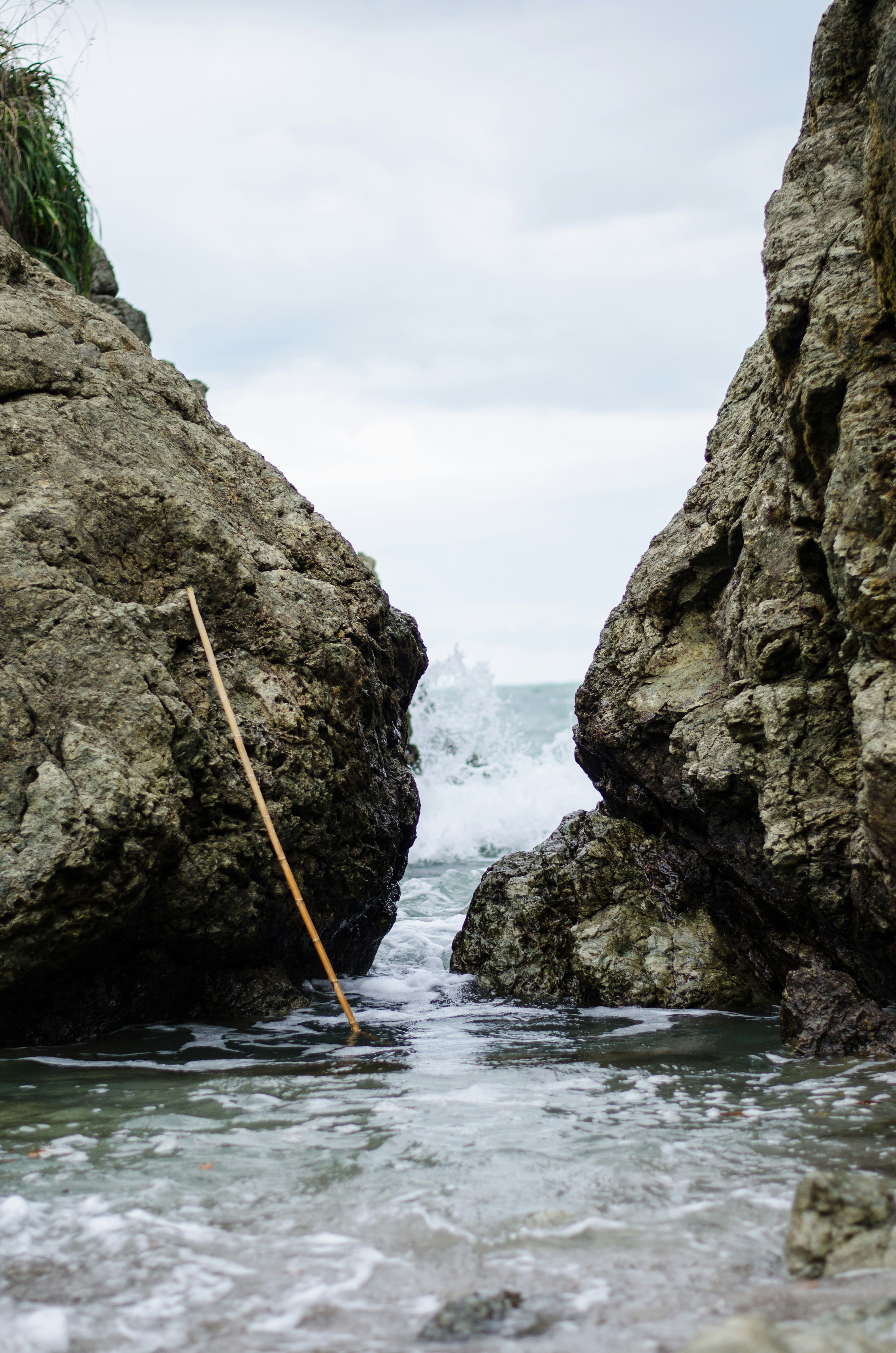 Free Unsplash photo from Sebastian Molinares