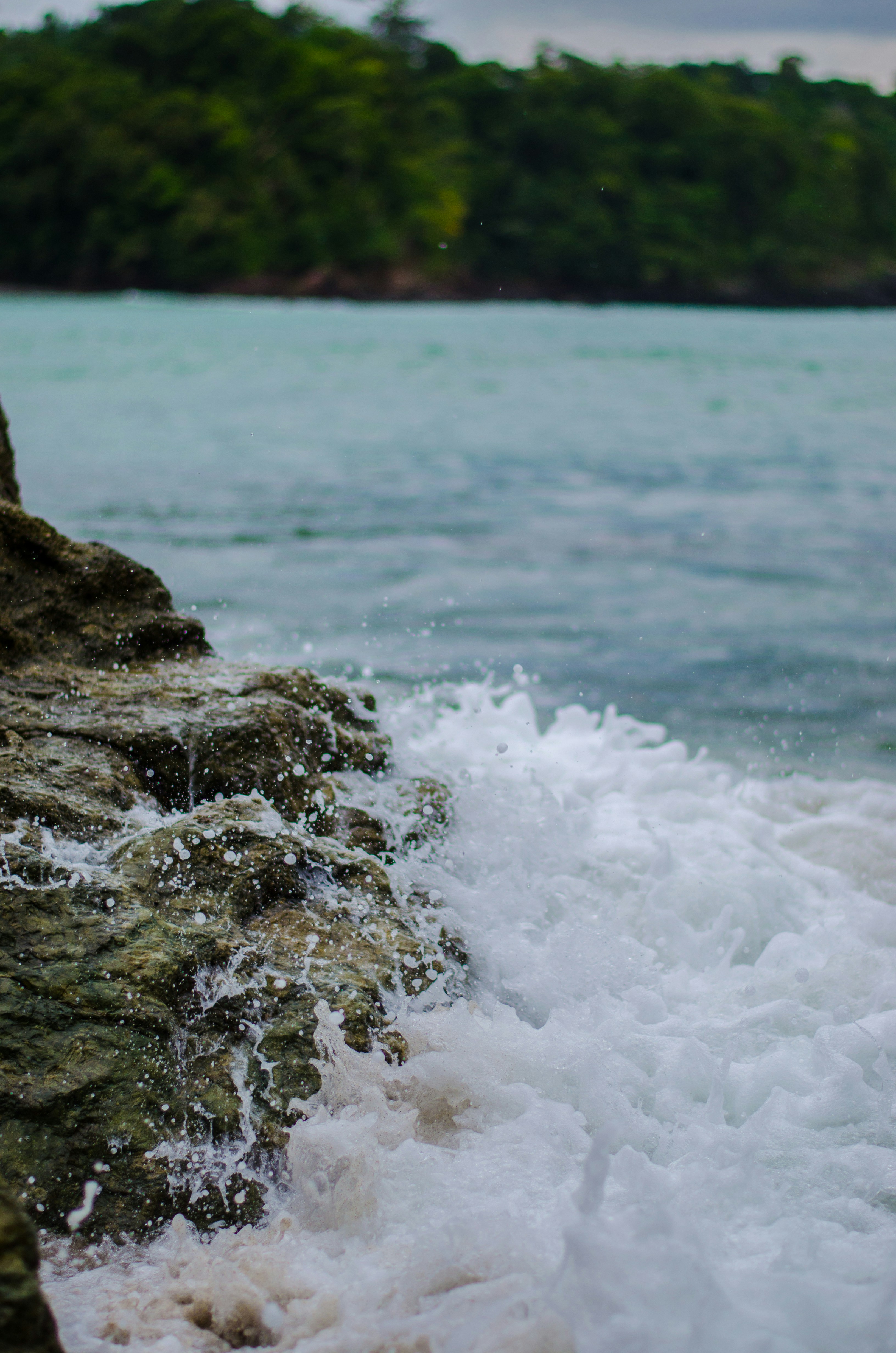 Free Unsplash photo from Sebastian Molinares