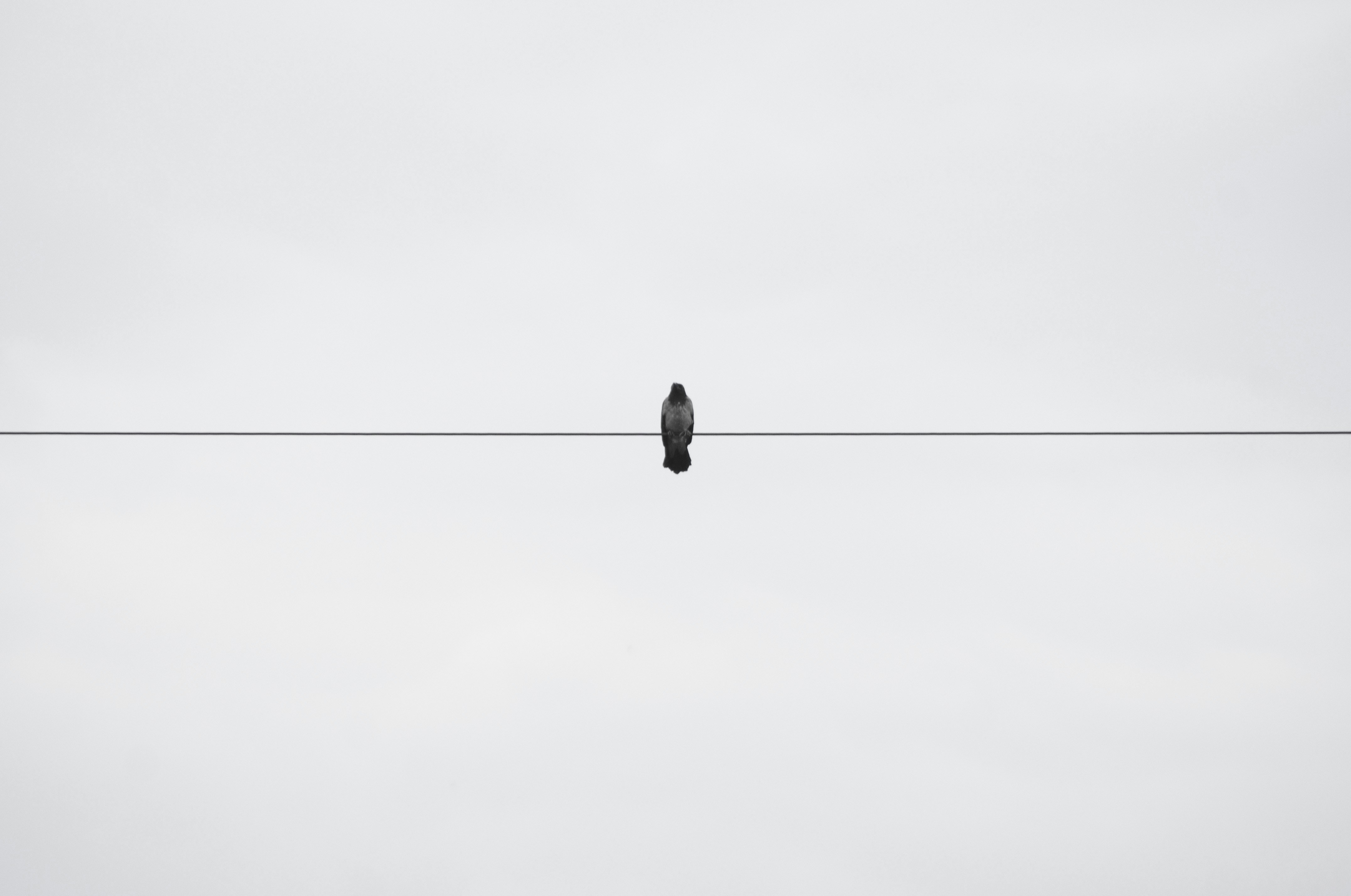 Free Unsplash photo from RUSLAN SHTEFAN