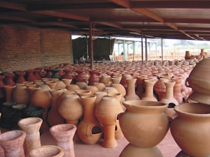 Decorative Plant Pots