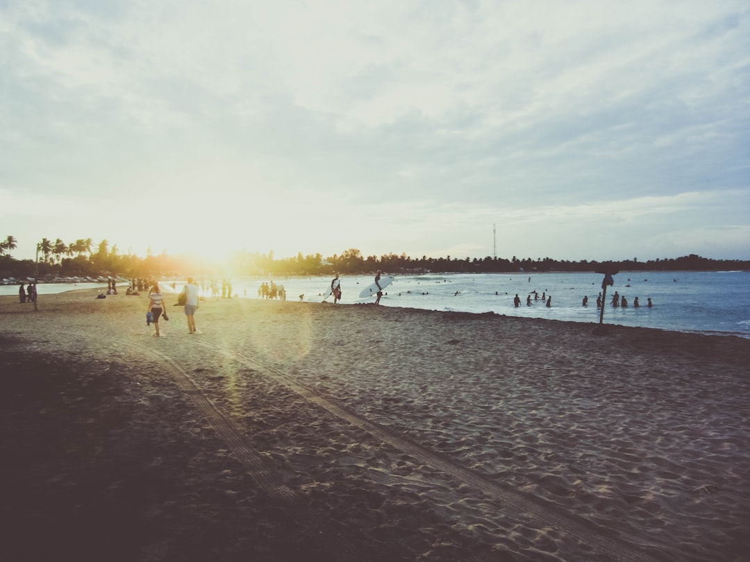 people walking on seashore during daytime