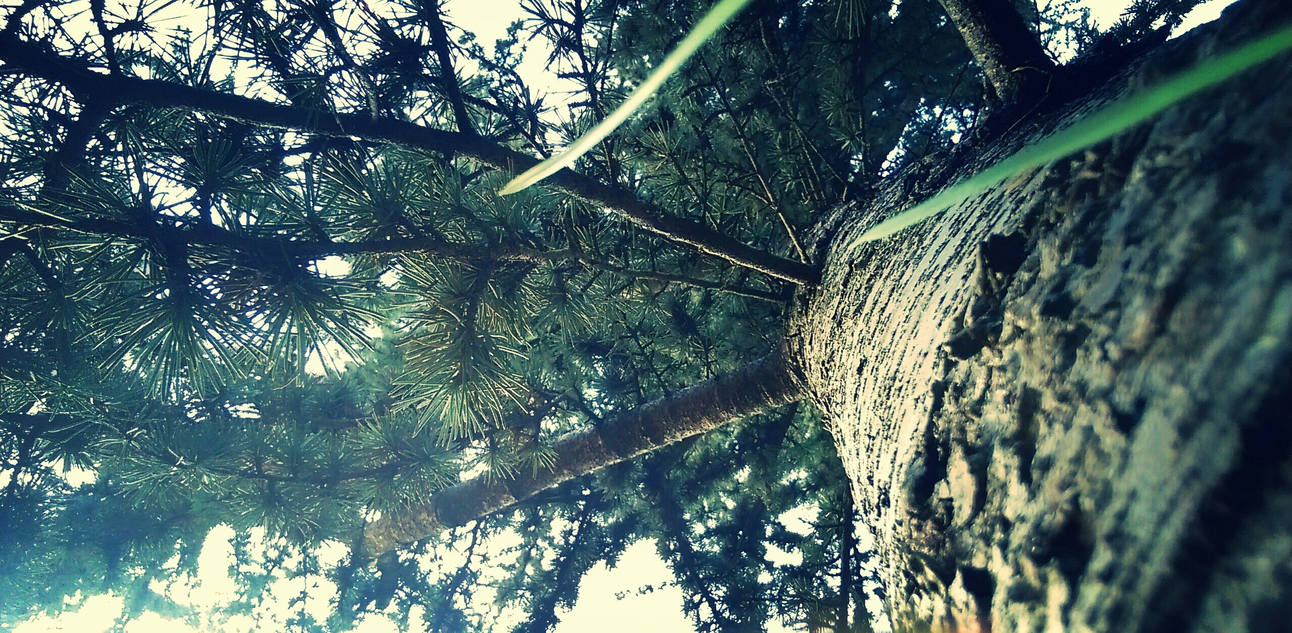 Free Unsplash photo from Bruno S