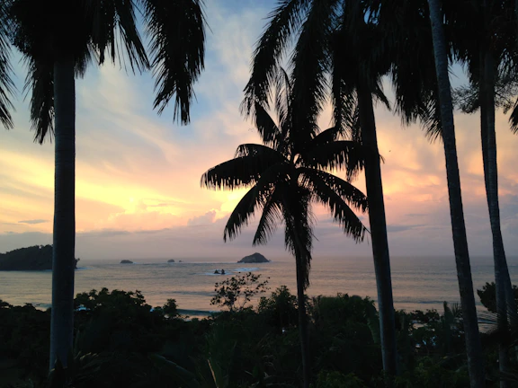Sunset over the turquoise waters of Saona Island with palm trees silhouetted.