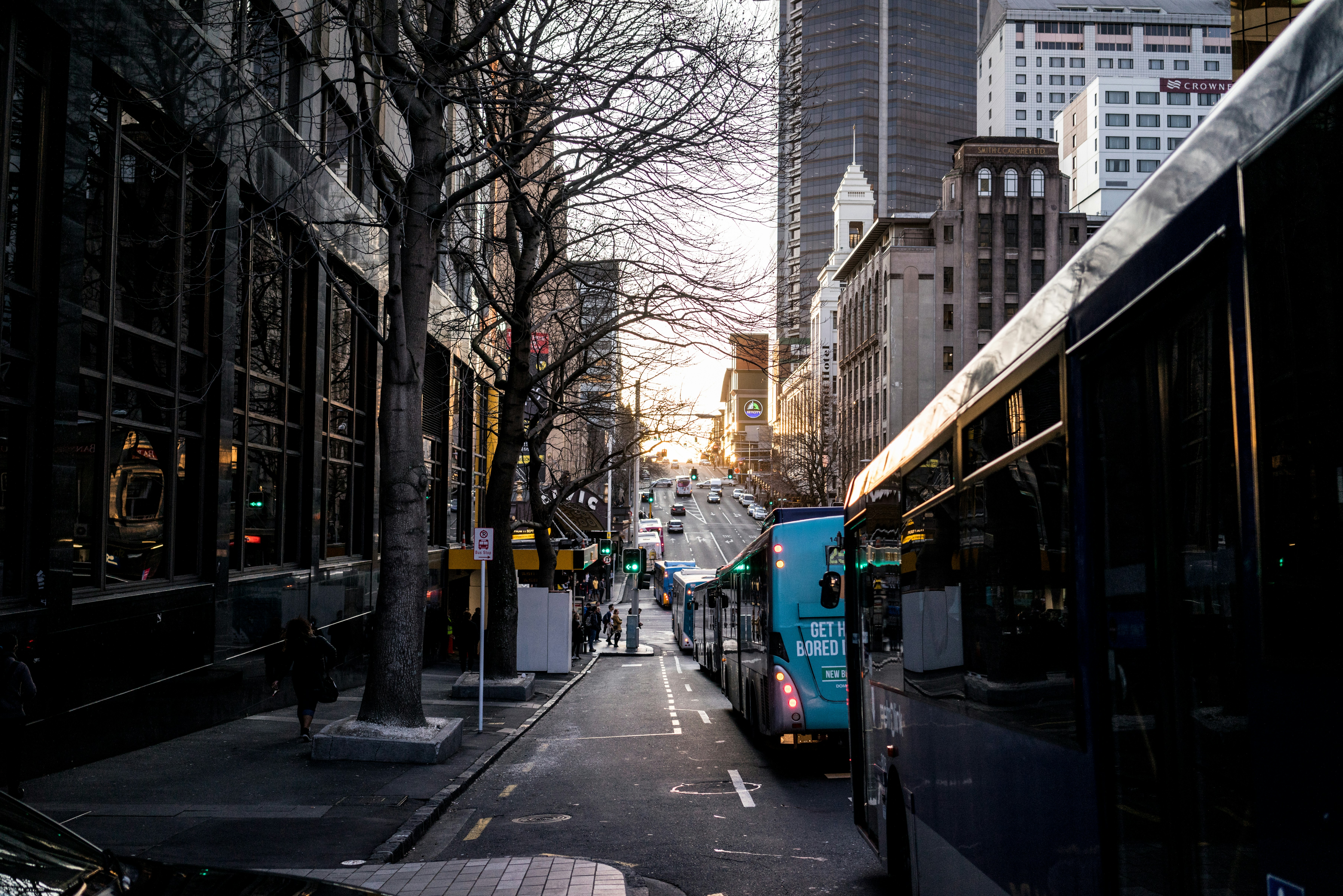 Free Unsplash photo from Jeff Juit