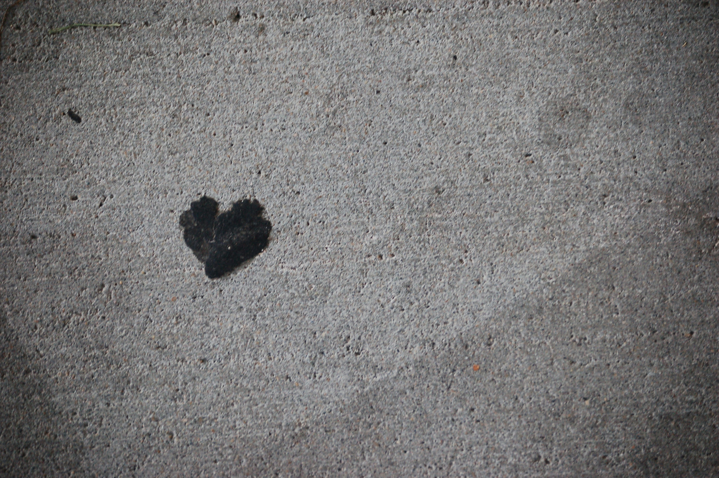 Free Unsplash photo from Tebbra Sanchez-Chapman