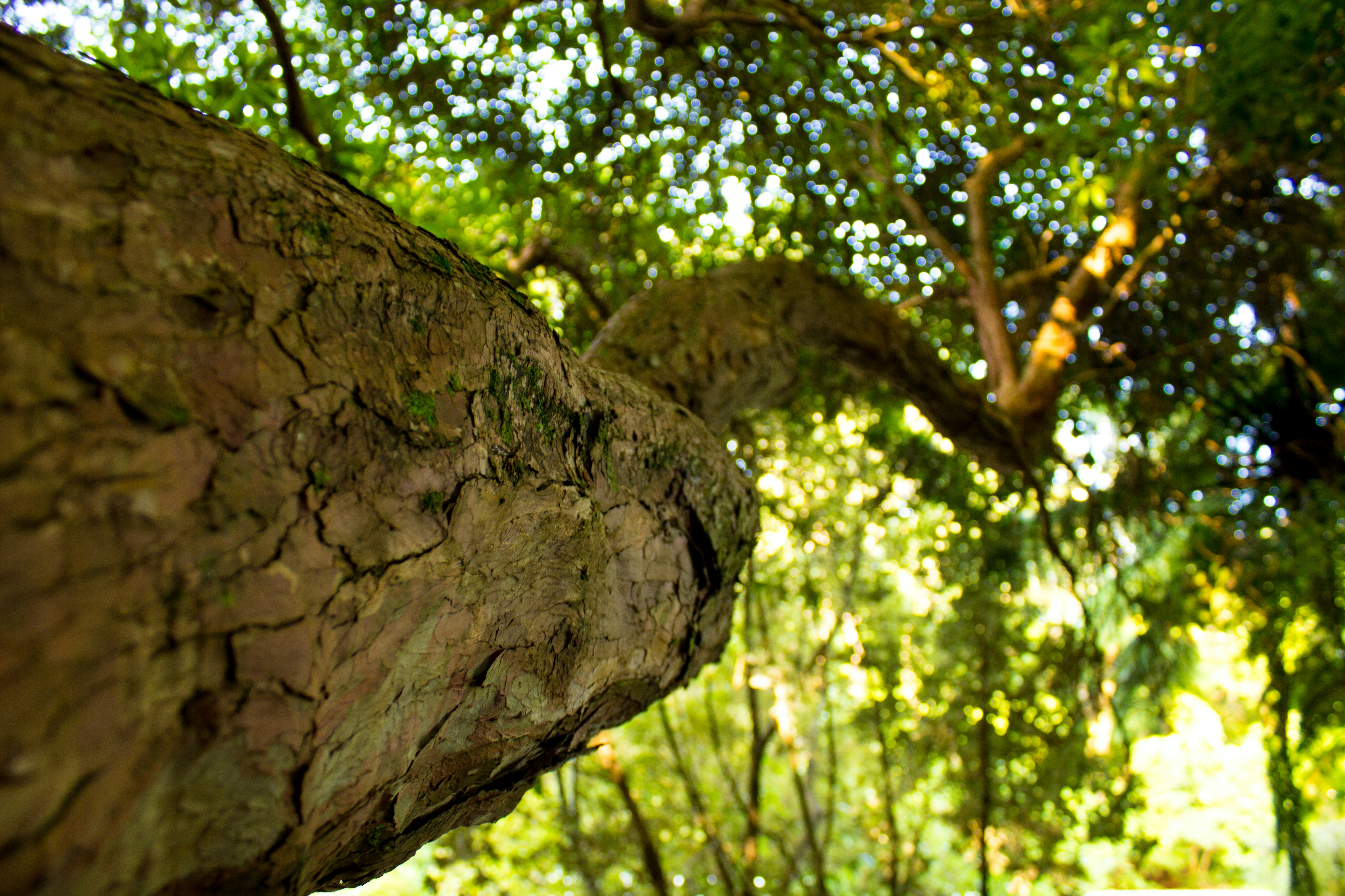 Free Unsplash photo from Jay Huygen-Gray