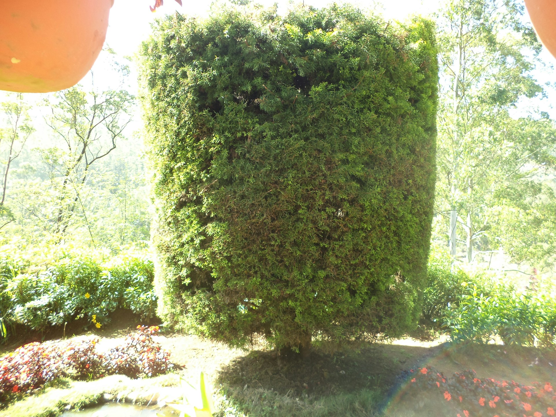 black and brown leather padded tub sofa