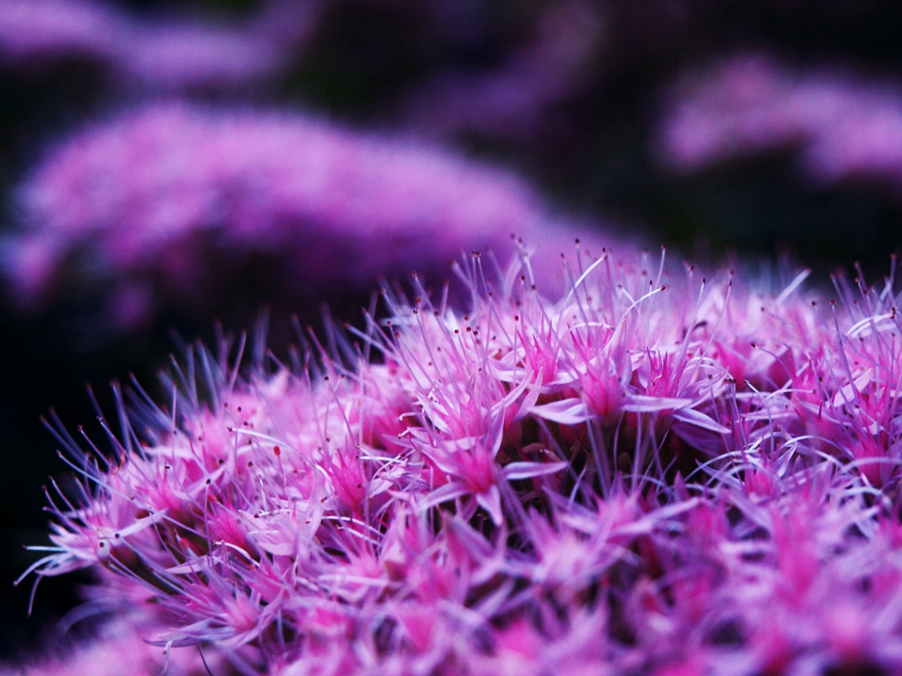 Free Unsplash photo from Alicja Koczaska