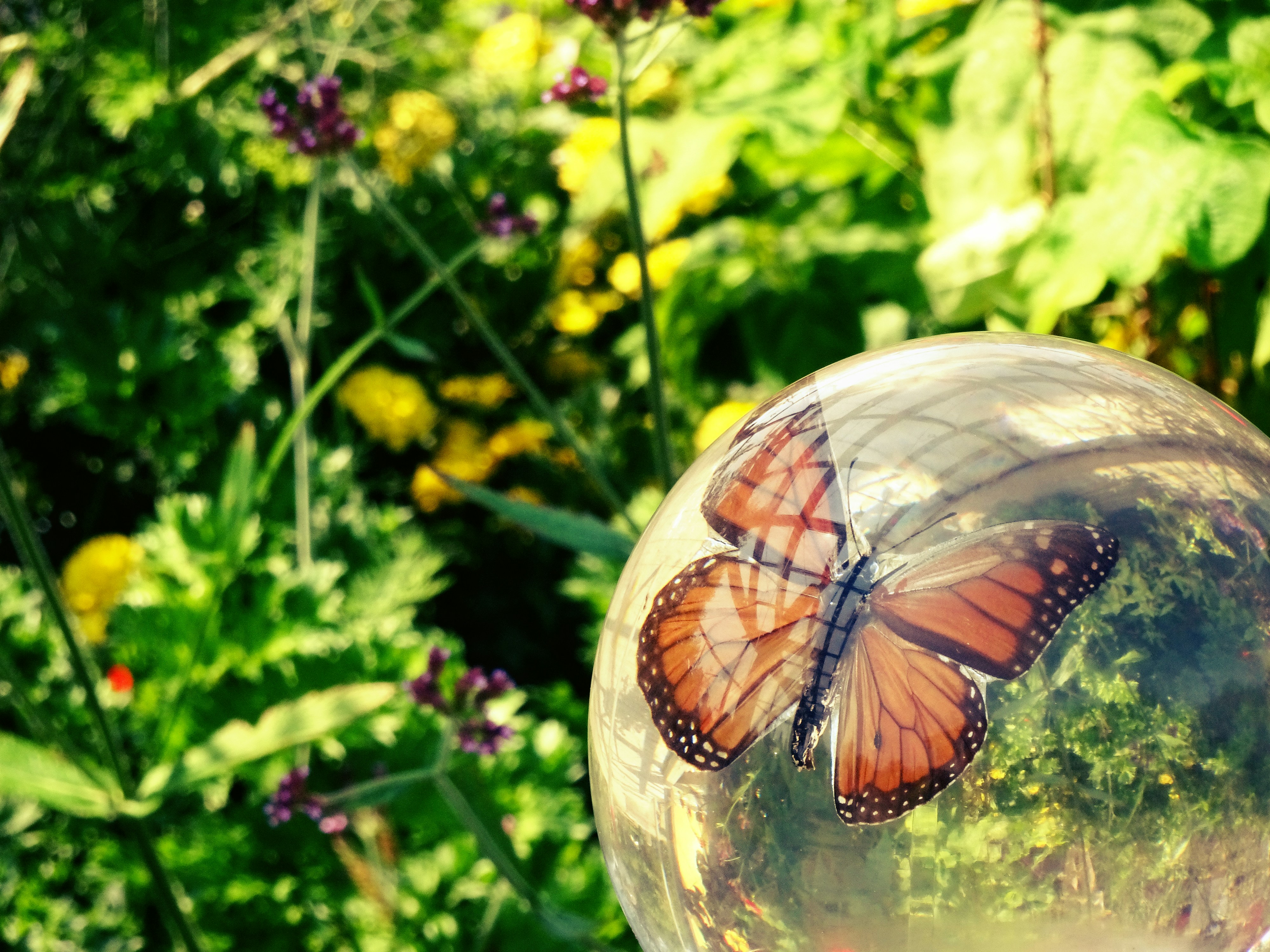 Free Unsplash photo from Rose Woolhouse