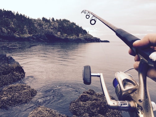 A fishing rod held by a person is extended over a rocky shoreline, facing a calm body of water with gentle waves. The coastline is lined with dense trees atop rugged cliffs under a cloudy sky.