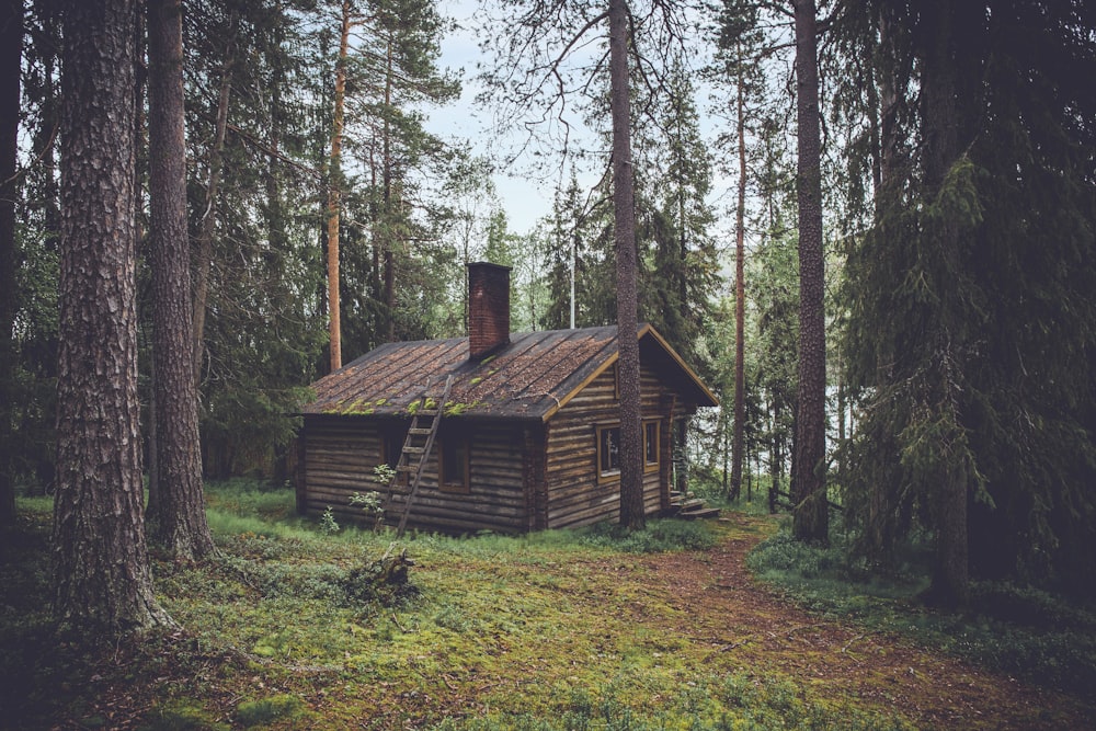 昼間の森の中の茶色の木造小屋の写真