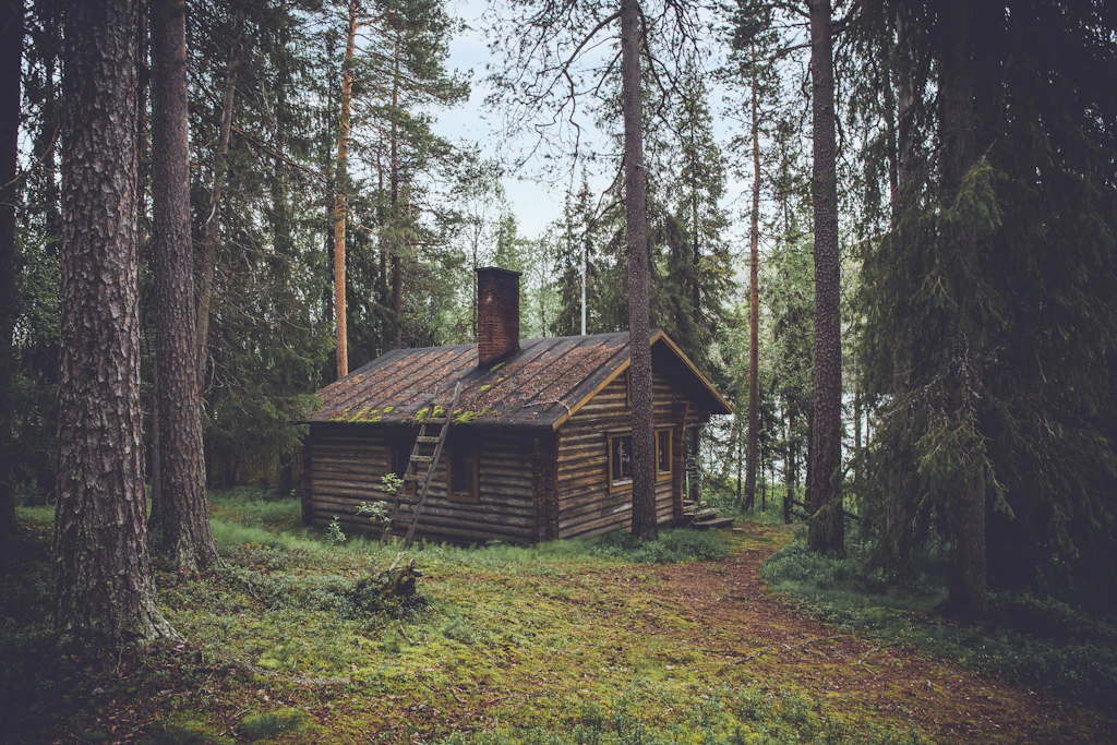 Drvena vikendica okružena šumom
