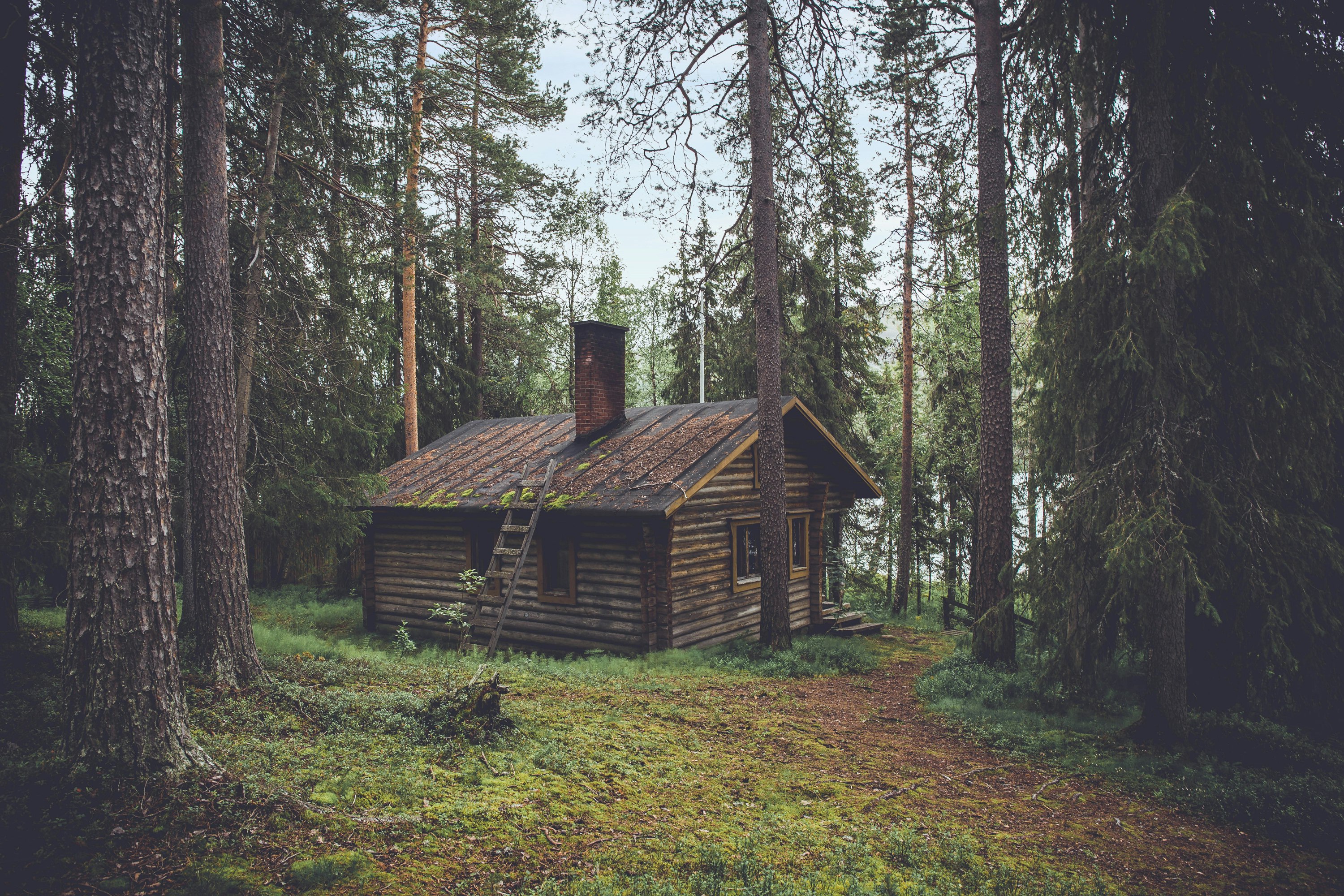 Modern modular home