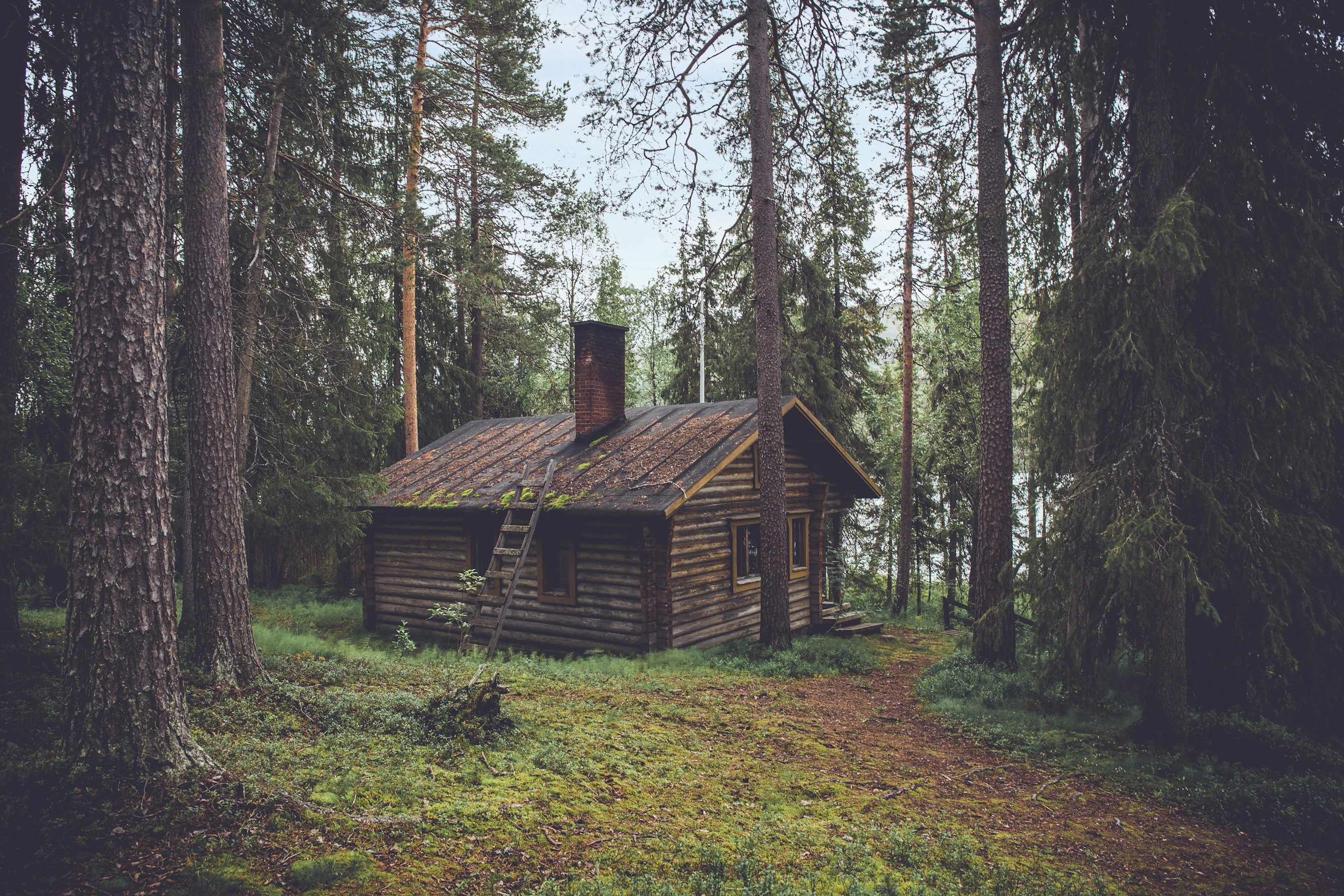 Log home on a Haliburton Highlands waterfront