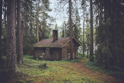 Dalarna red cottage