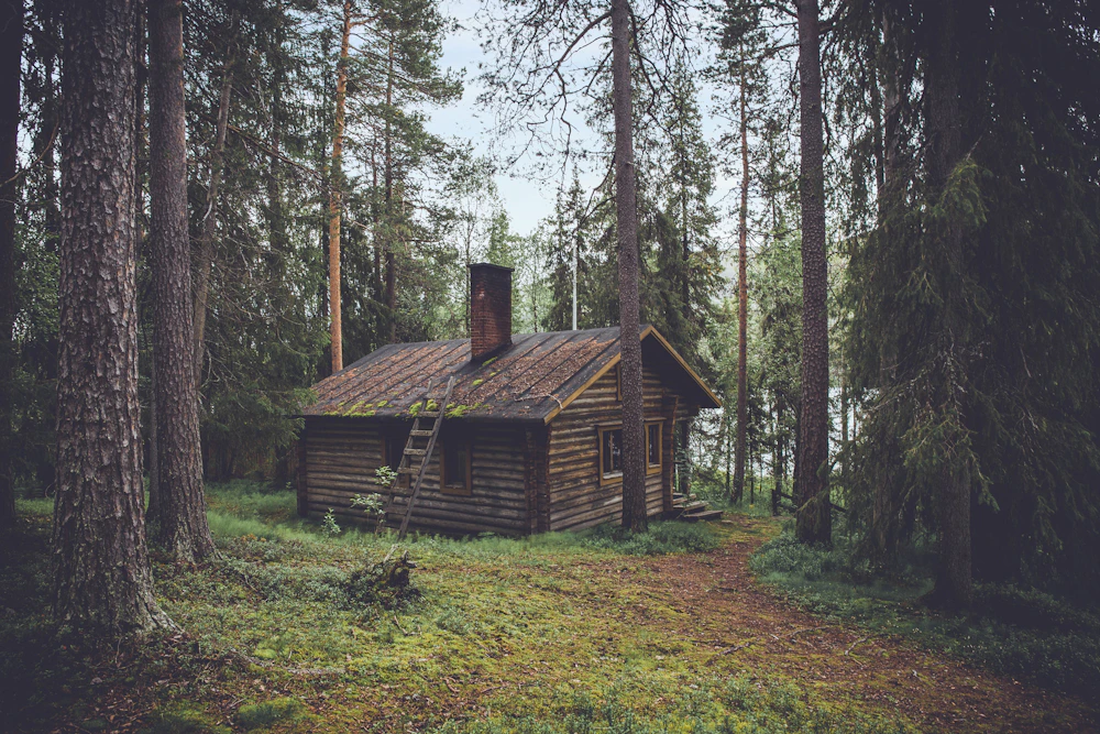 Smoky Mountain cabin