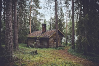 photo of brown wooden cabin in forest during daytime