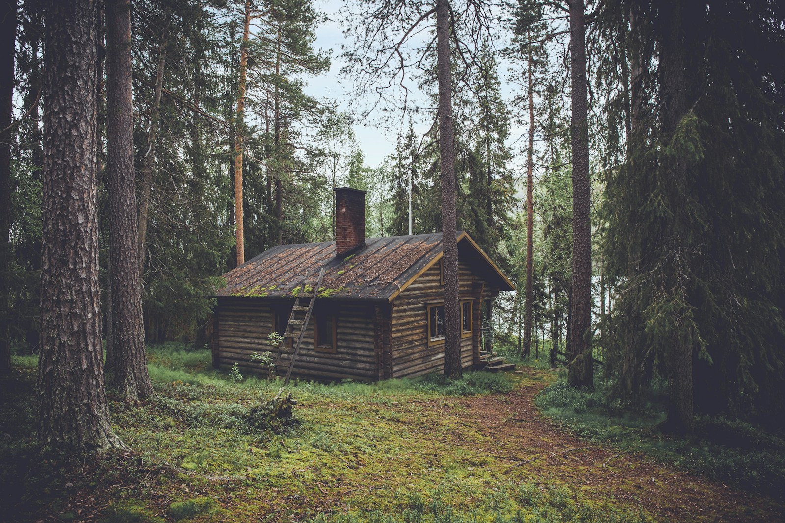Living space with forest views