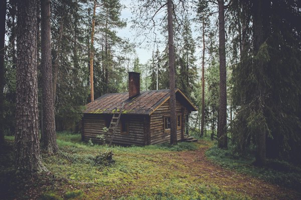 Log Hut at Marvel Hills Resort Kasauli