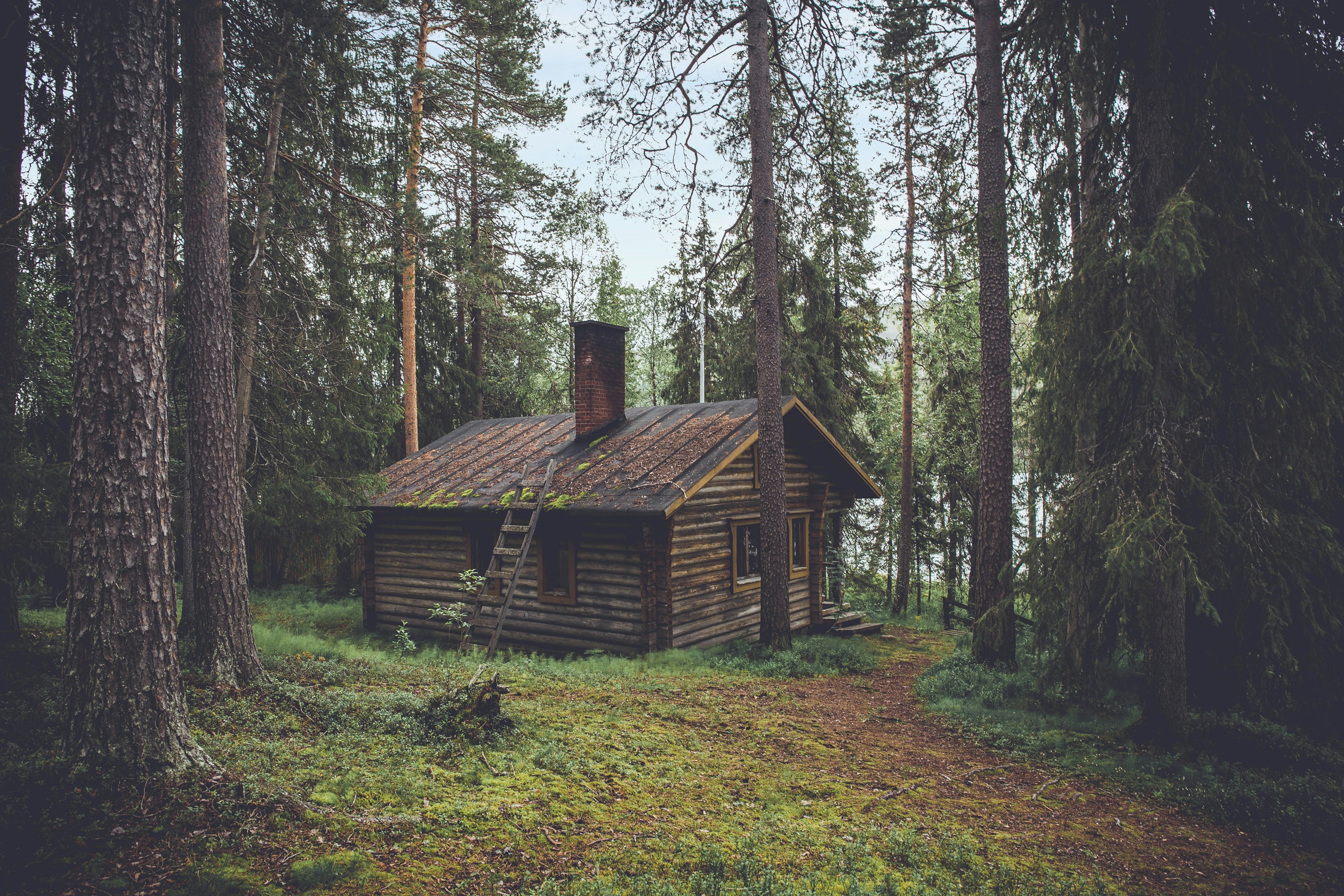 photo of brown wooden cabin in forest during daytime