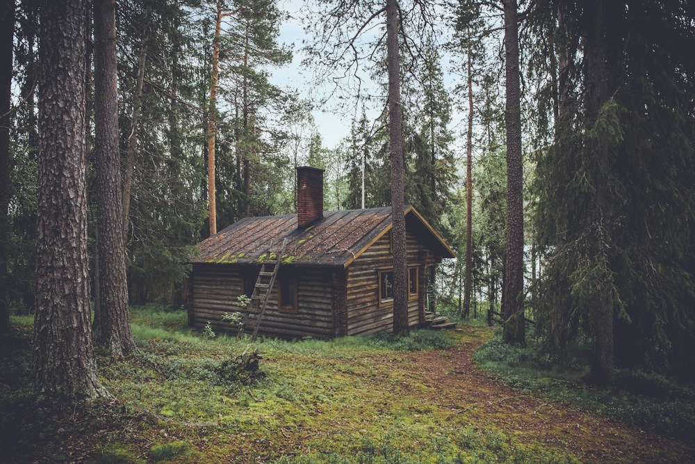 Garden and house inspiration