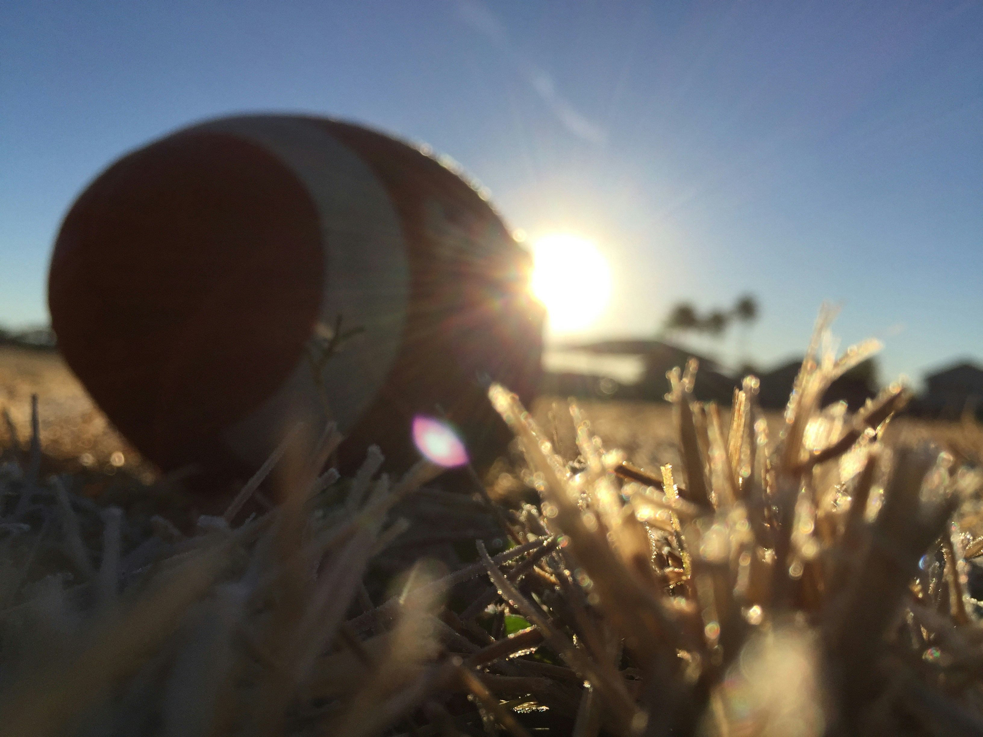 Free Unsplash photo from Philip Bateson