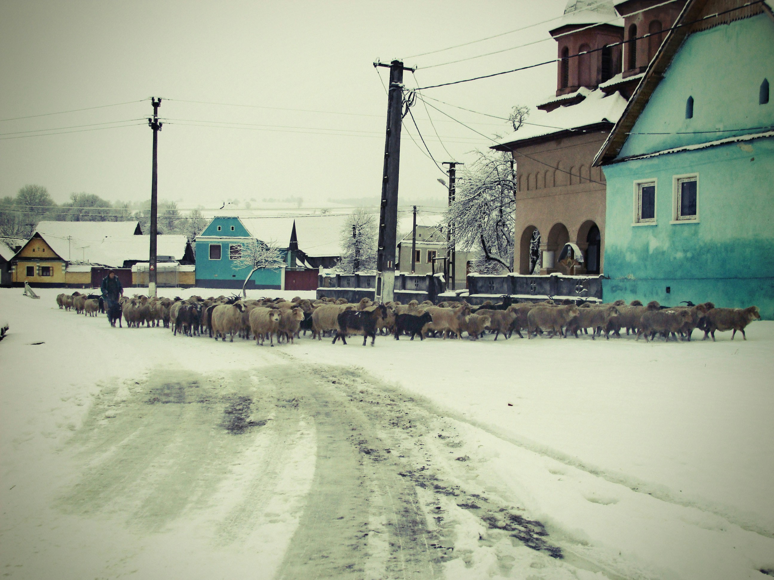 Free Unsplash photo from Sem Libeert