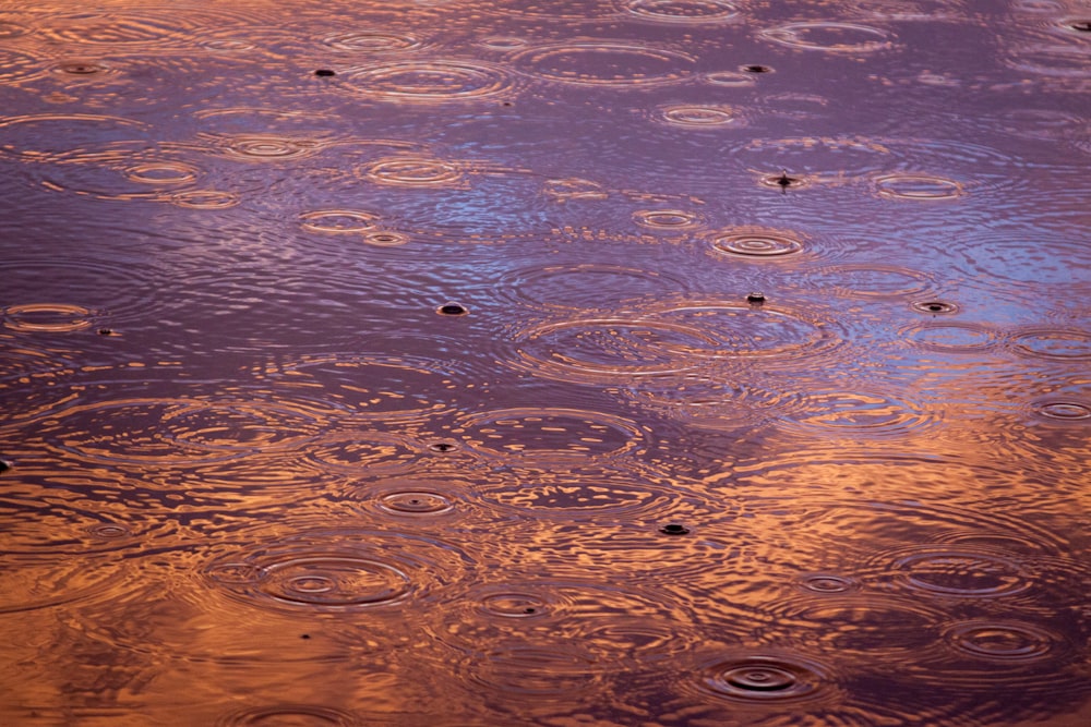 Cuerpo de agua en calma