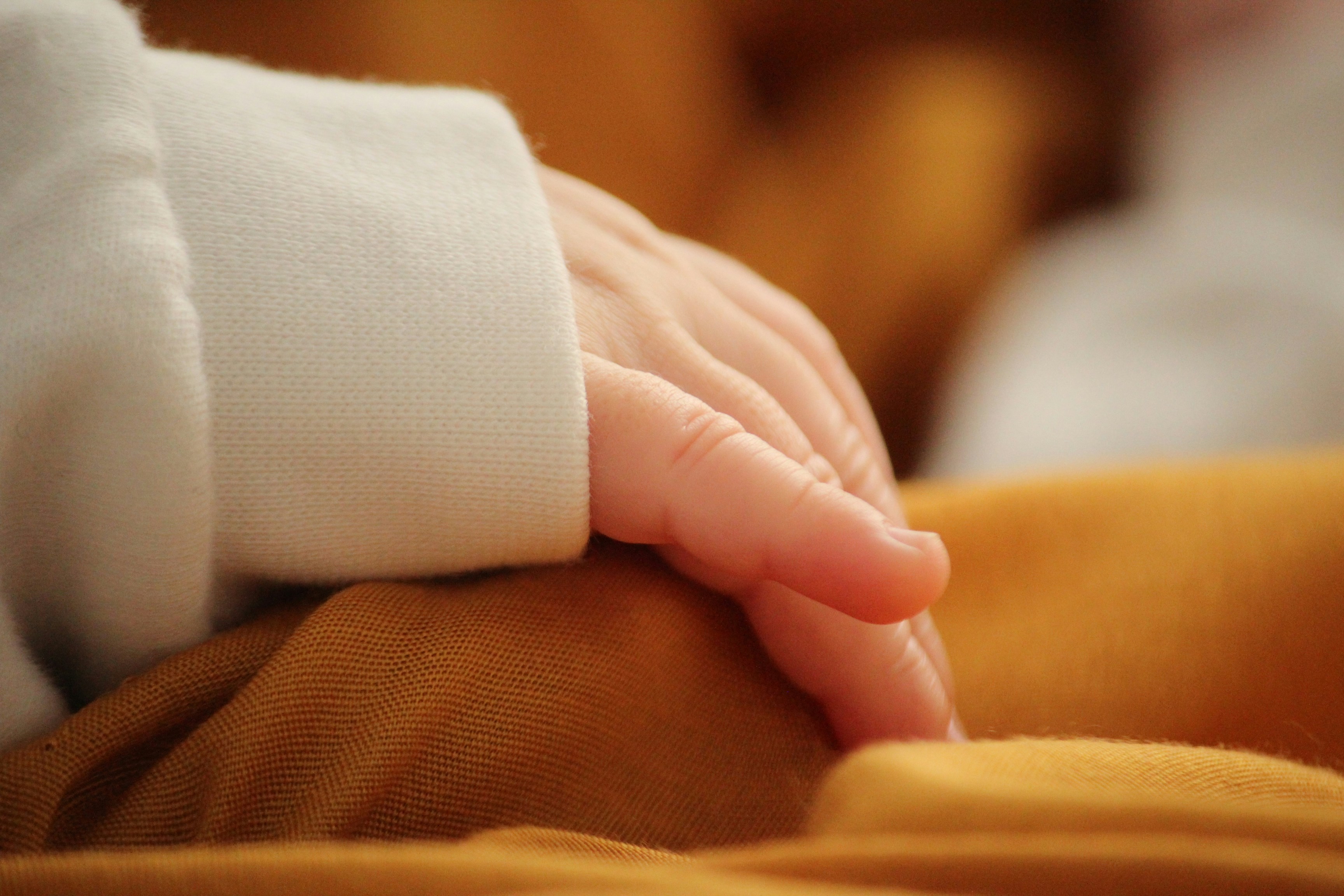 Free Unsplash photo from Seyda Coskun