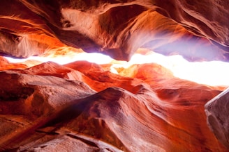A mesmerizing view of a sandstone cavern with rich, flowing textures. The vibrant hues of red and orange are illuminated by light filtering in from above, creating a dramatic and otherworldly atmosphere. The natural formations carve intricate patterns that showcase the geological beauty of the location.