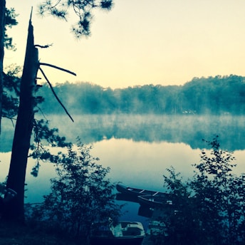 A serene lake at dawn with an infallible kayak gently floating near the shore, surrounded by mist and tall trees.