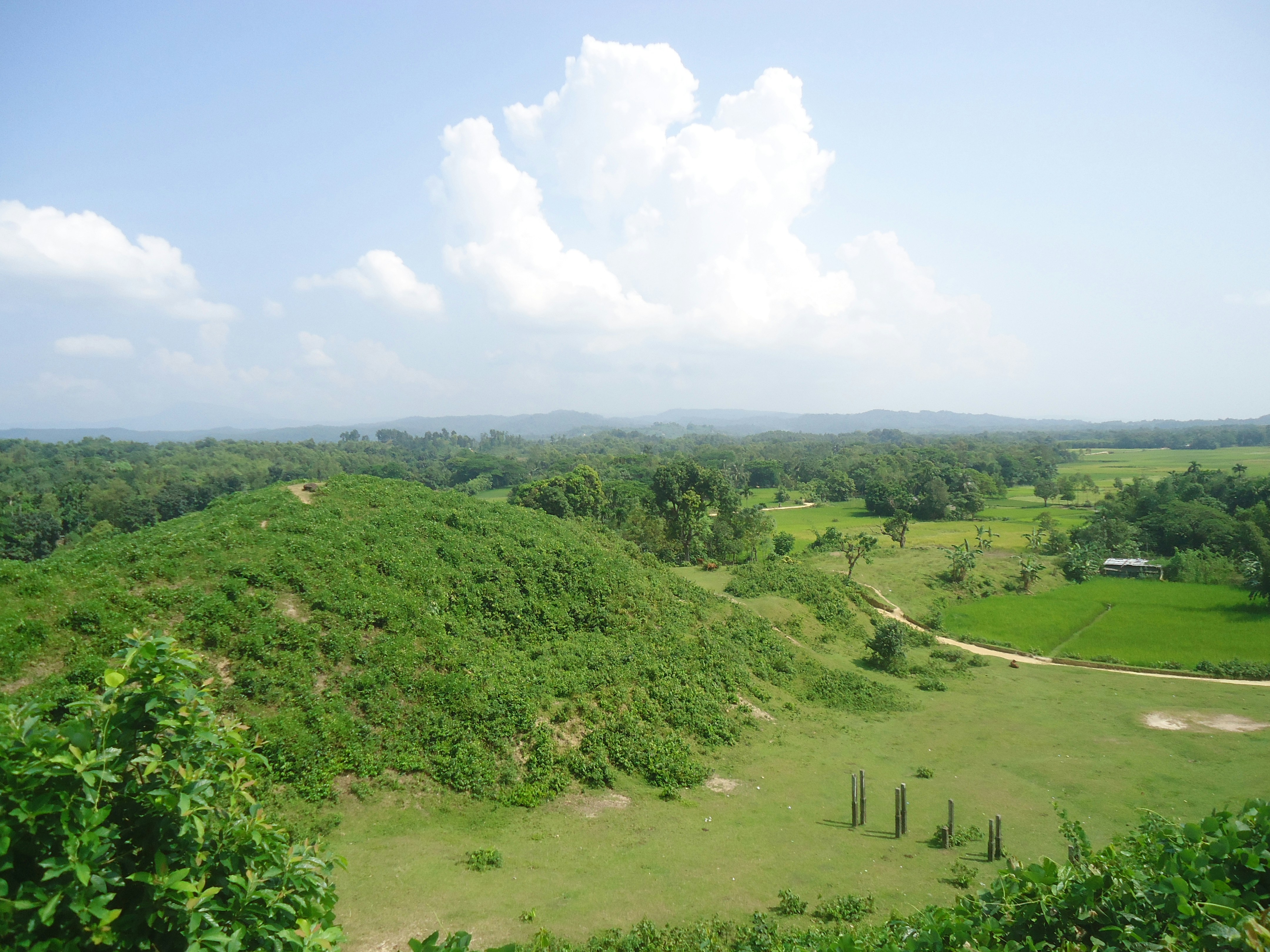 Free Unsplash photo from Fahim Mugdho