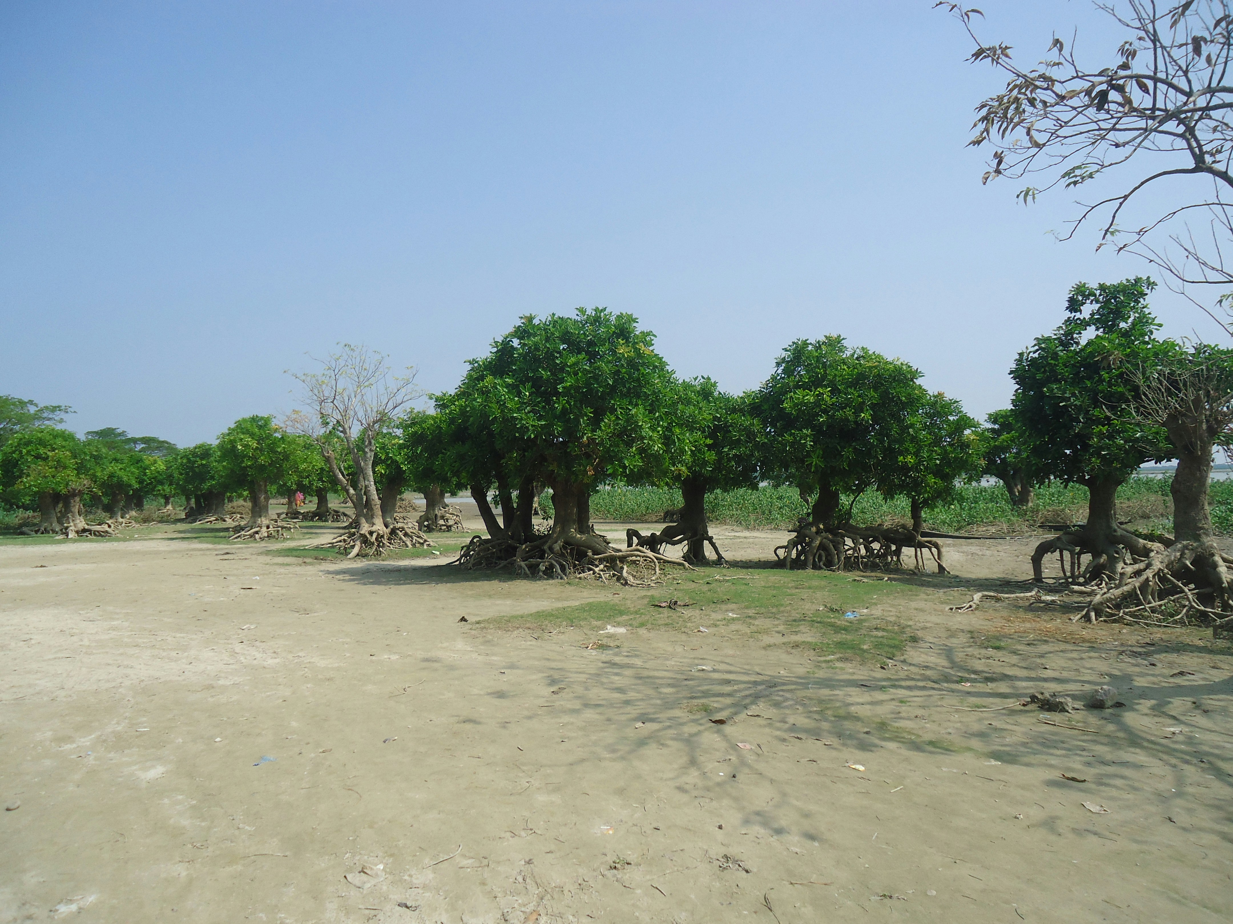 Free Unsplash photo from Fahim Mugdho