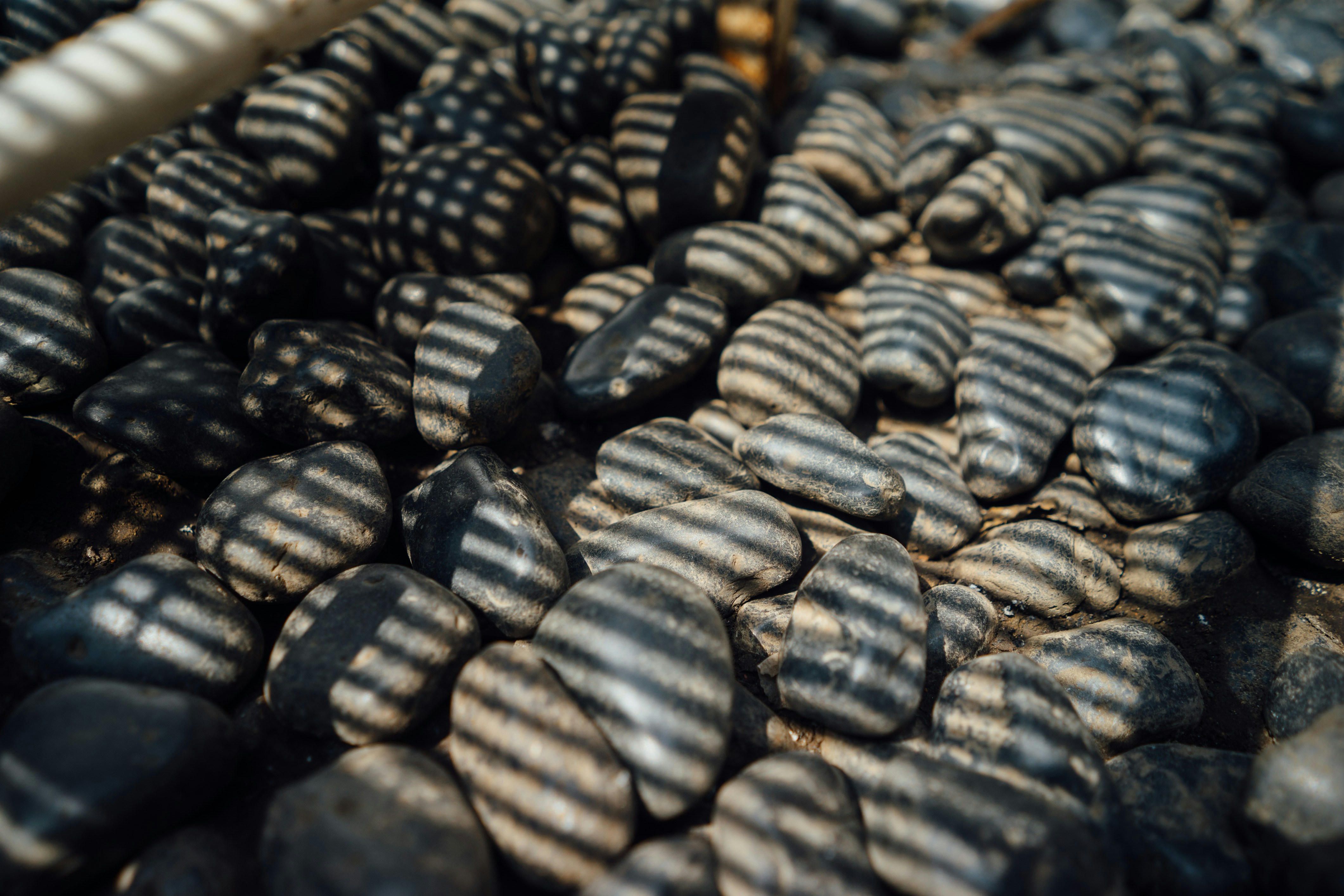 Free Unsplash photo from MARIO PUTRA