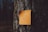 A bright orange sticky note is affixed to the rough bark of a tree. The note contains the handwritten message: 'Let life surprise you.' The tree's bark texture is prominently visible in the background, with shadows adding depth to the image.