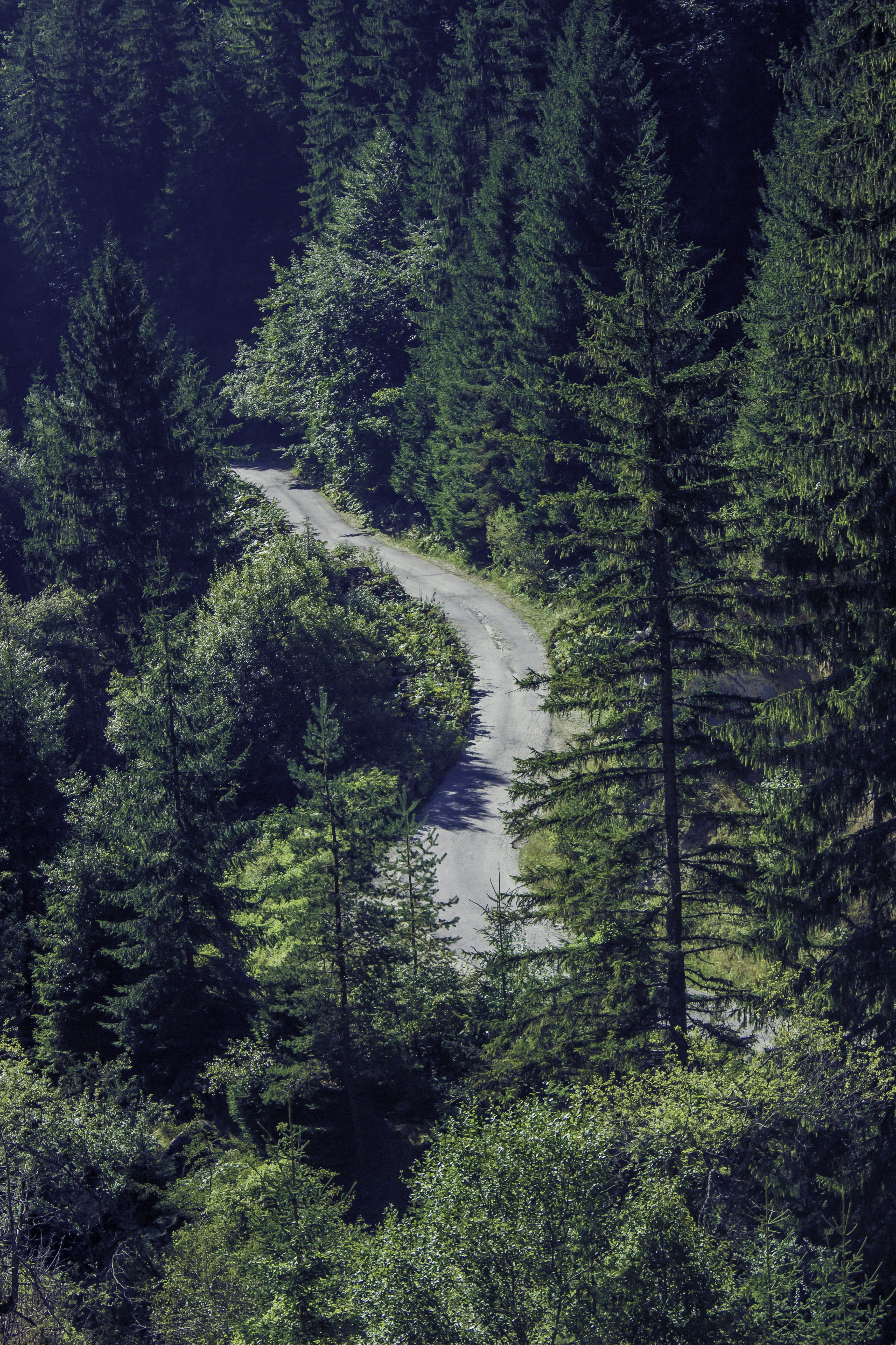 Free Unsplash photo from Axel Abraxas