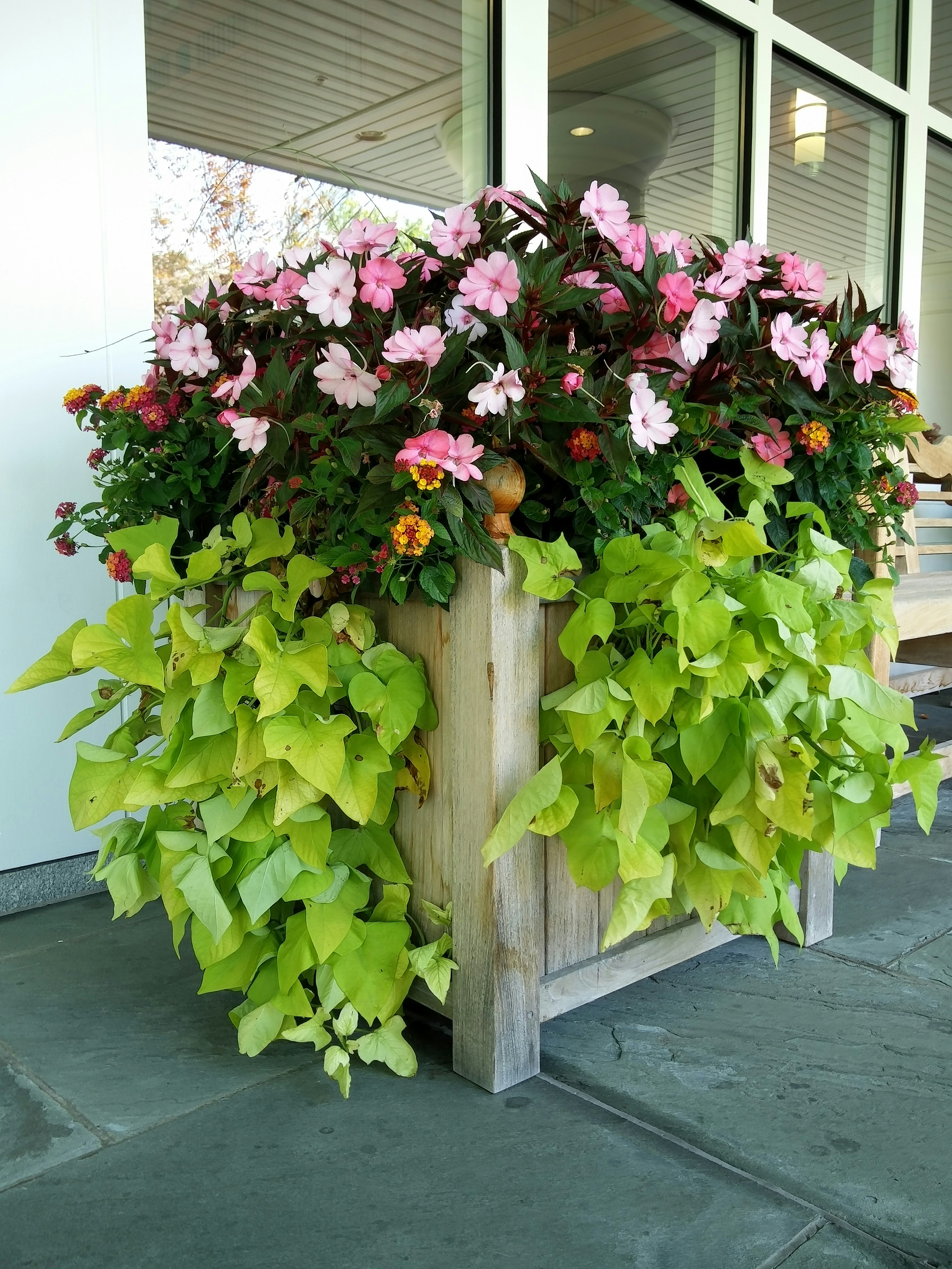 Free Unsplash photo from Albert Dubovik