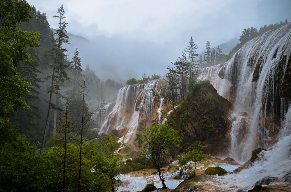 Cascate sulla foresta