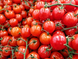 Tomate Orgânico Fresco