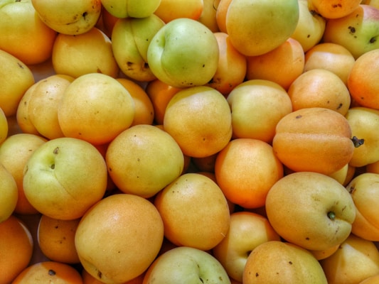 Bright green packaging with succulent dried apricots spilling gently from the bag.