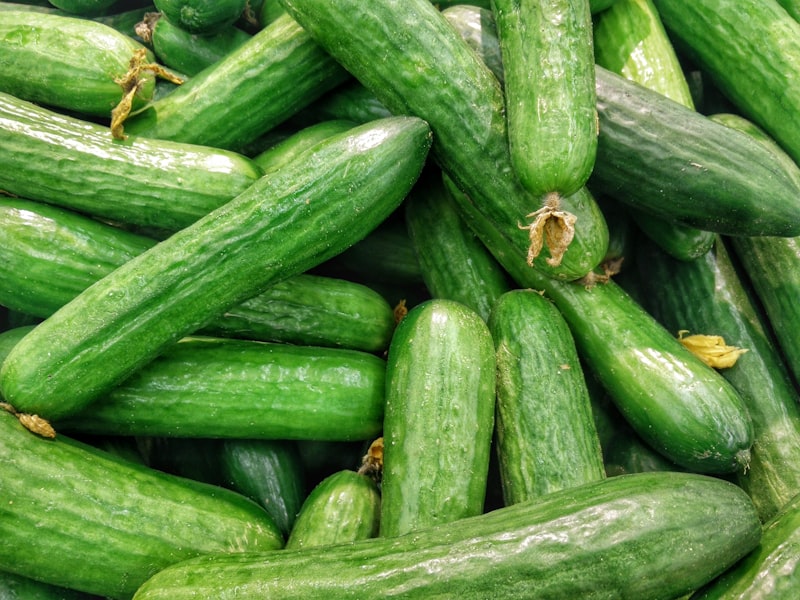 Japanese Long Cucumber Seeds