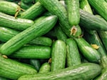 Cucumber